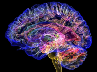 射精潮吹视频在线观看大脑植入物有助于严重头部损伤恢复